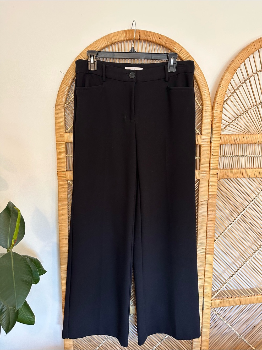 Loft Pants
